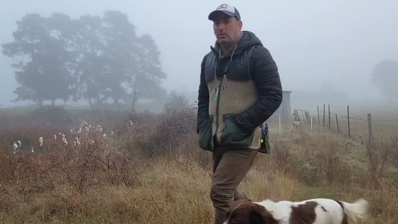 Gundog Training - Walking to Heel