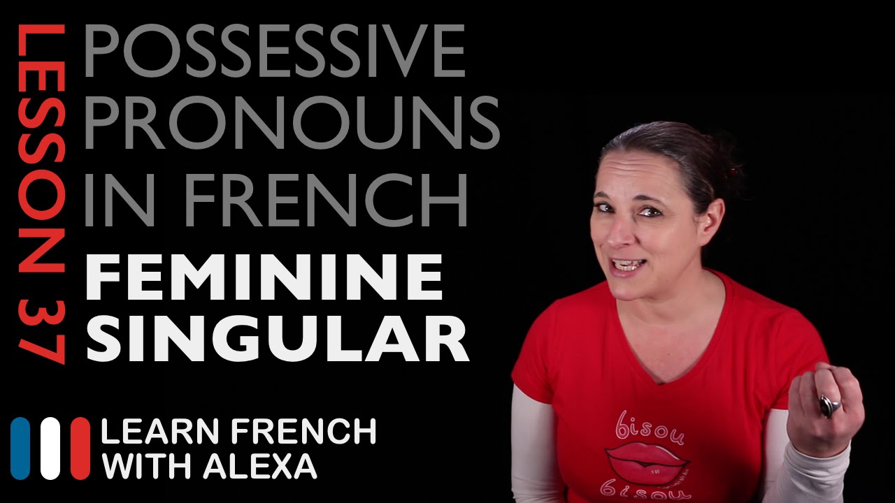 French Feminine Singular Possessive Pronouns
