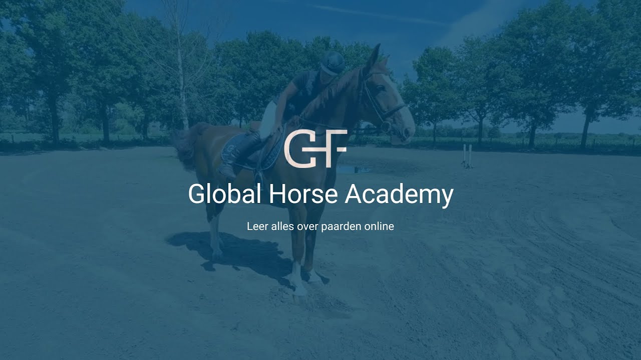 Leren afstappen van een paard | Veilig en stap voor stap uitgelegd – Paardrijden voor beginners