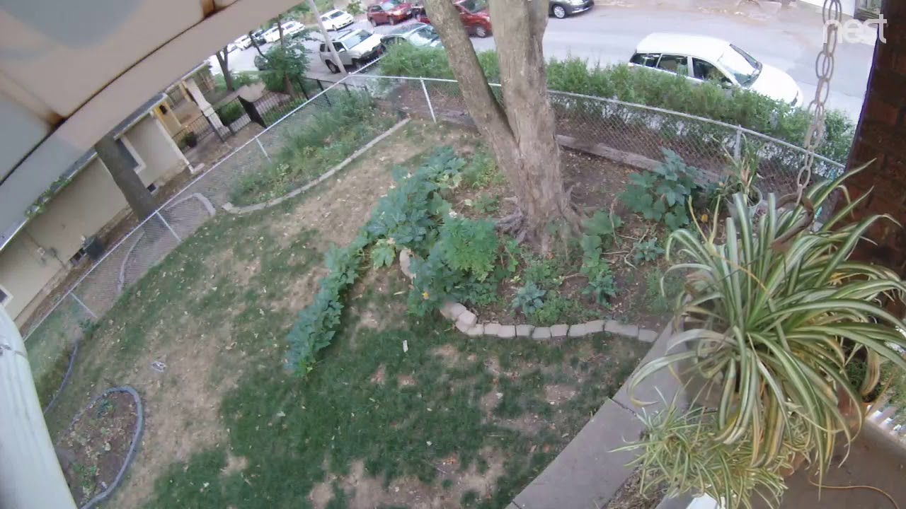 8-5-18 Side