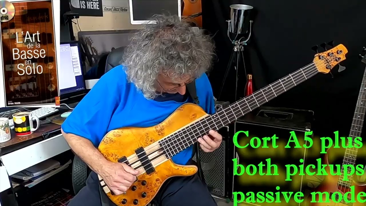l'art de la basse en solo morceau n°2