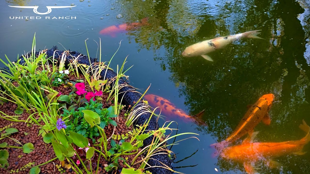 DIY Floating Pond Planter!