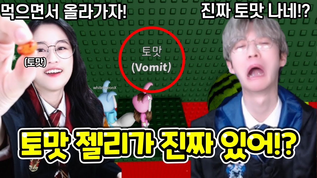 이게 바로 토맛젤리!? 진짜 토맛이 날까...?-해리포터 젤리빈 타워-