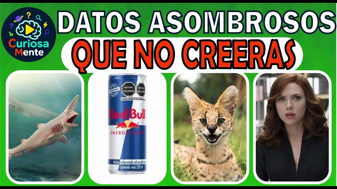 Si Conoces Estos Datos, Tu Cerebro Ya No Funciona Igual