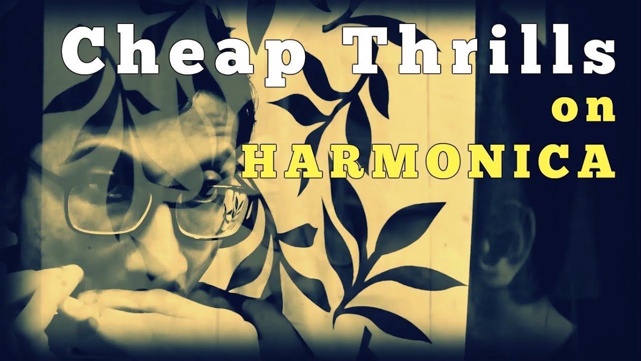 Cheap Thrills | Harmonica Cover | Arindam Sen