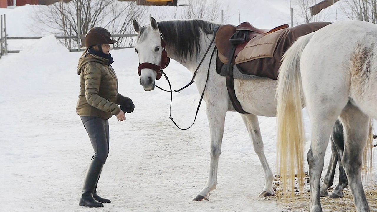 Eftermiddagsridning – 5:e ridträningen för Donna