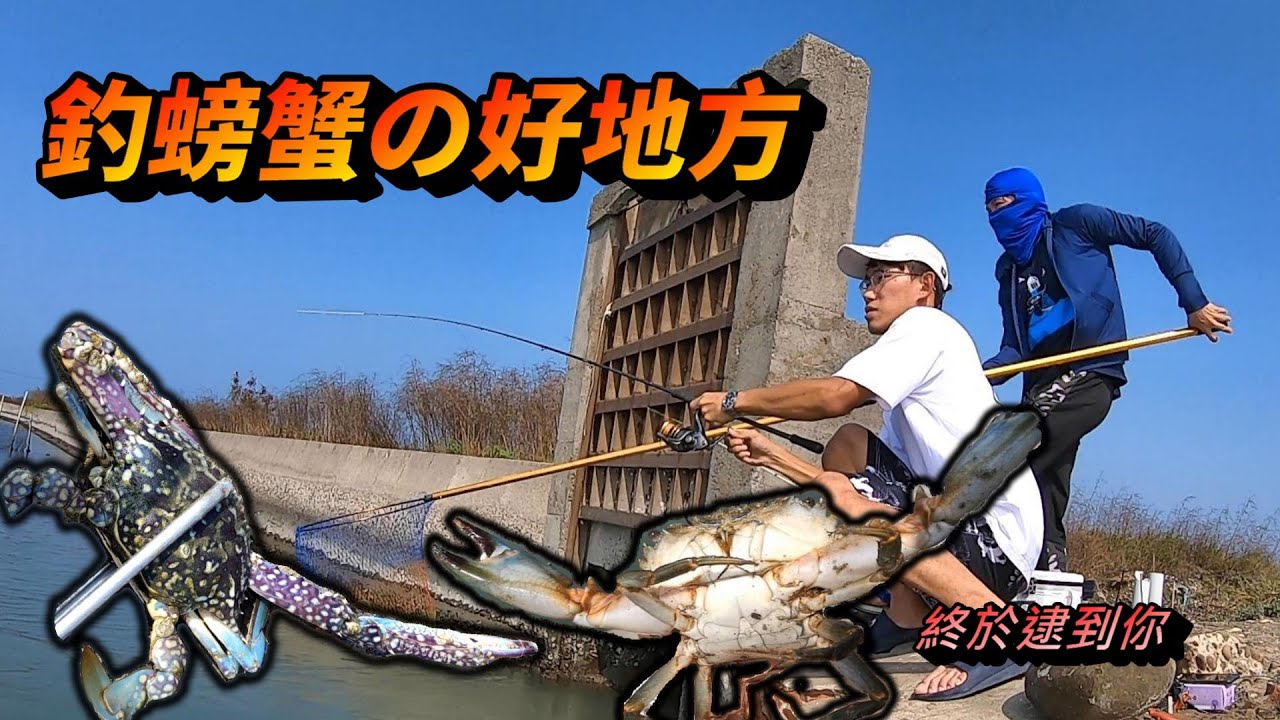生態超好的釣點～想吃螃蟹自己釣！海邊就是我的廚房～Crab fishing　@阿中釣魚趣