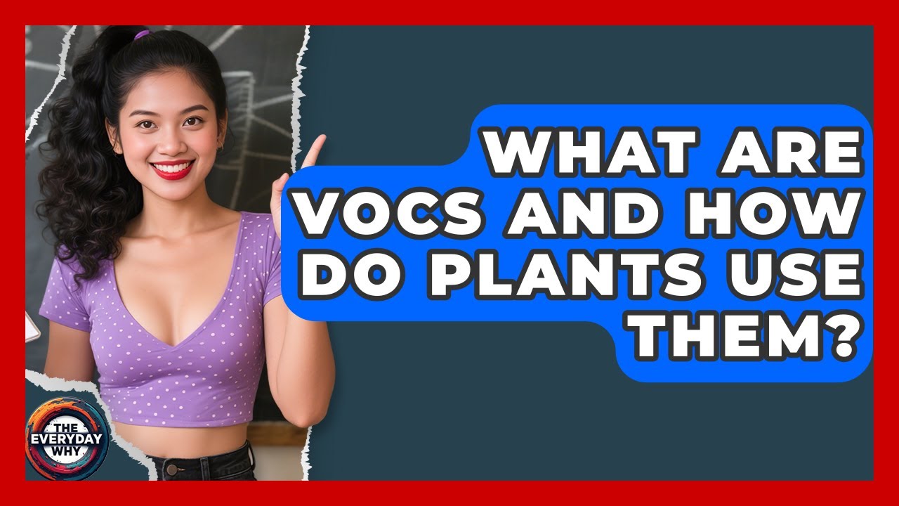 What Are VOCs And How Do Plants Use Them? - The Everyday Why