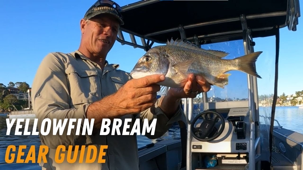 Yellowfin Bream Fishing Gear Guide | Fishing Tips | Anaconda Stores