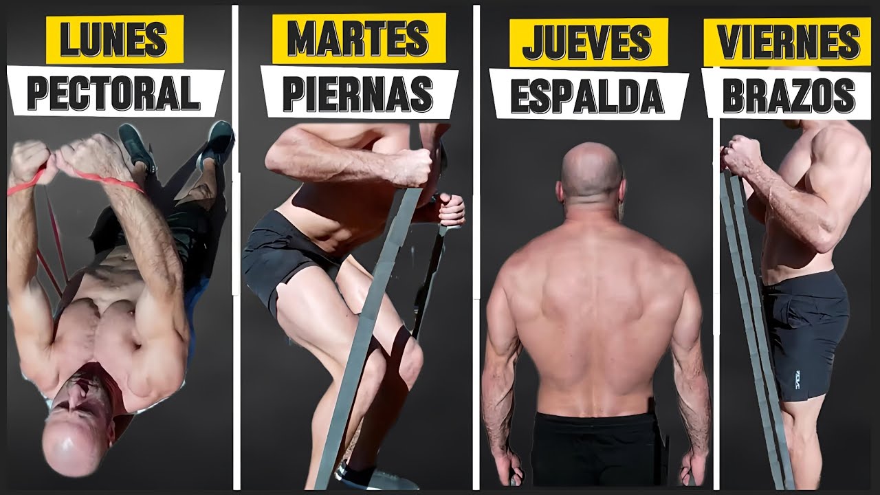 Rutina de 4 dias con BANDAS ELASTICAS para ganar masa muscular 💪