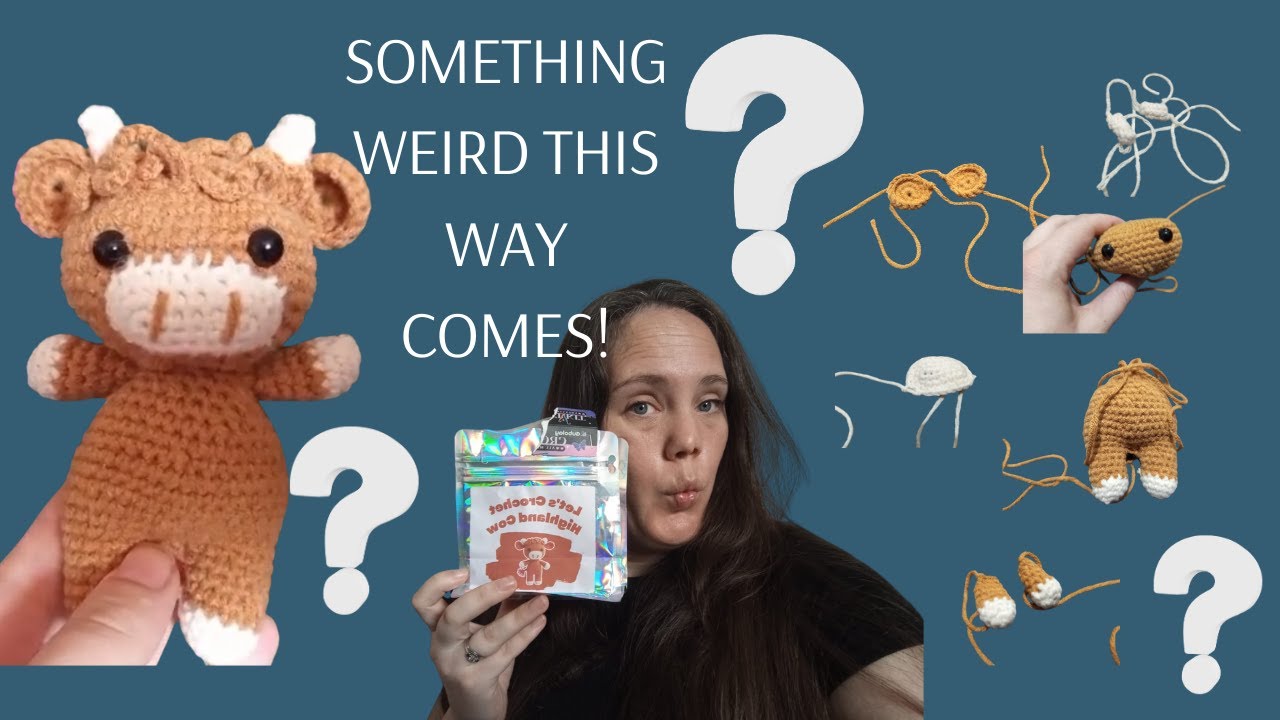 Honest Crochet Kit Review – Everything Was Fine Until It Got Weird