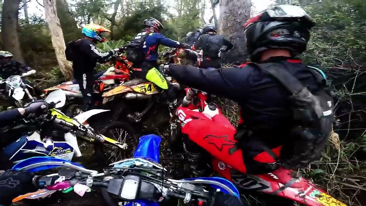 2022 Insane ride main race bronze 1st place