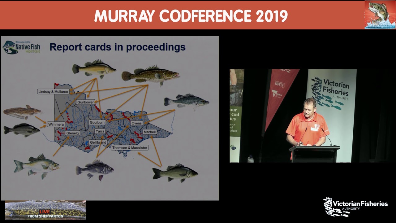 Native fish report cards 2019 - Brett Ingram (VFA)