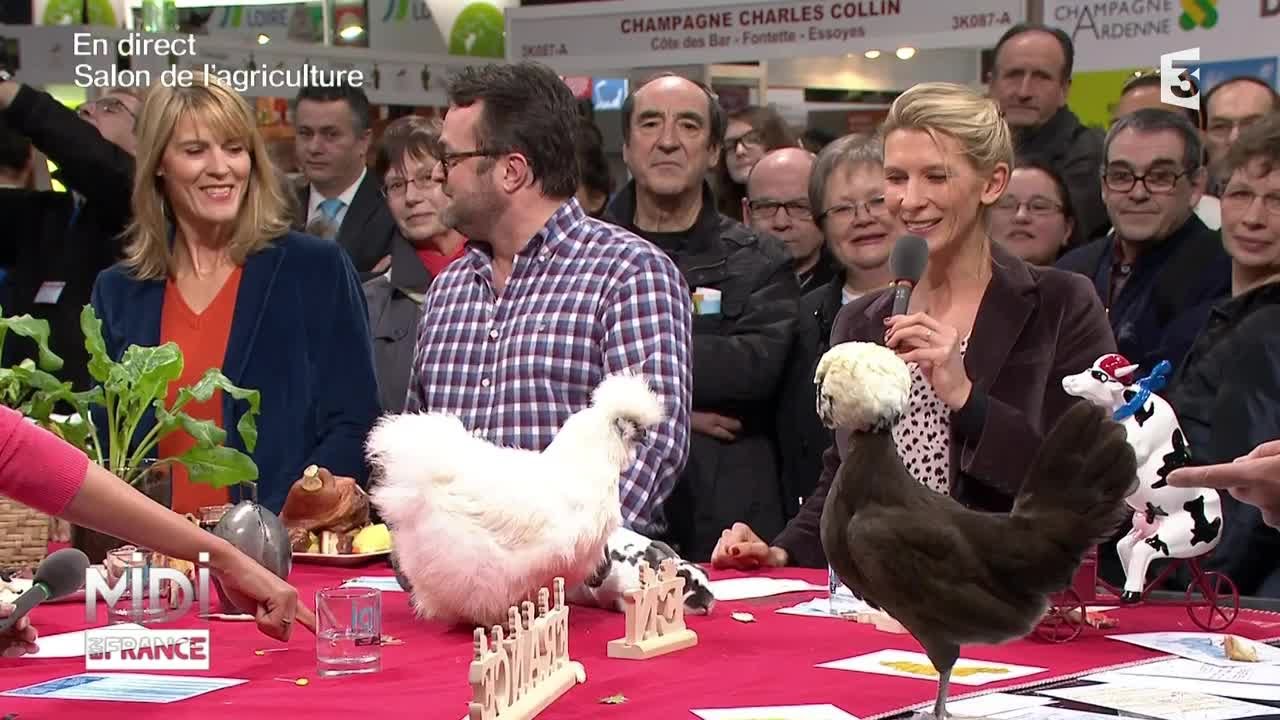 ANIMAUX : la poule d'Alsace et la poule Meusienne