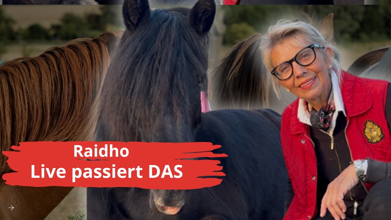 Raidho: Was in der Live Begegnung wirklich passiert!