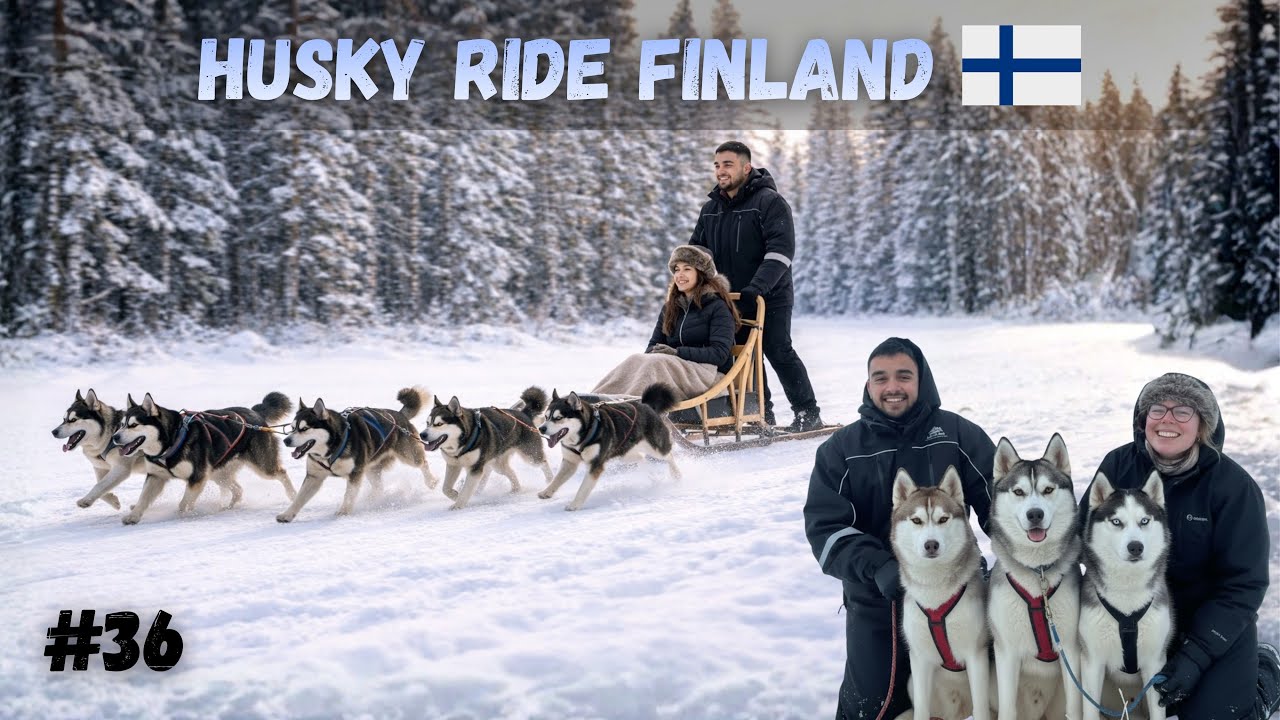 HUSKY SAFARI IN -13°C | FINLAND