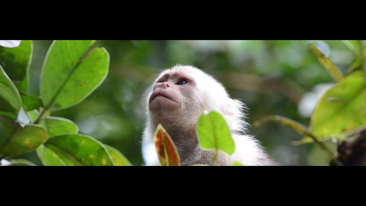Colombia: il paradiso perduto
