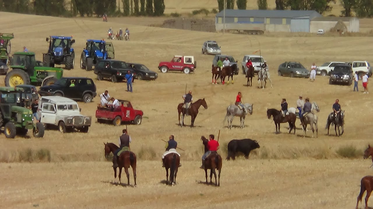 Torrelobaton 2013 Encierro campero