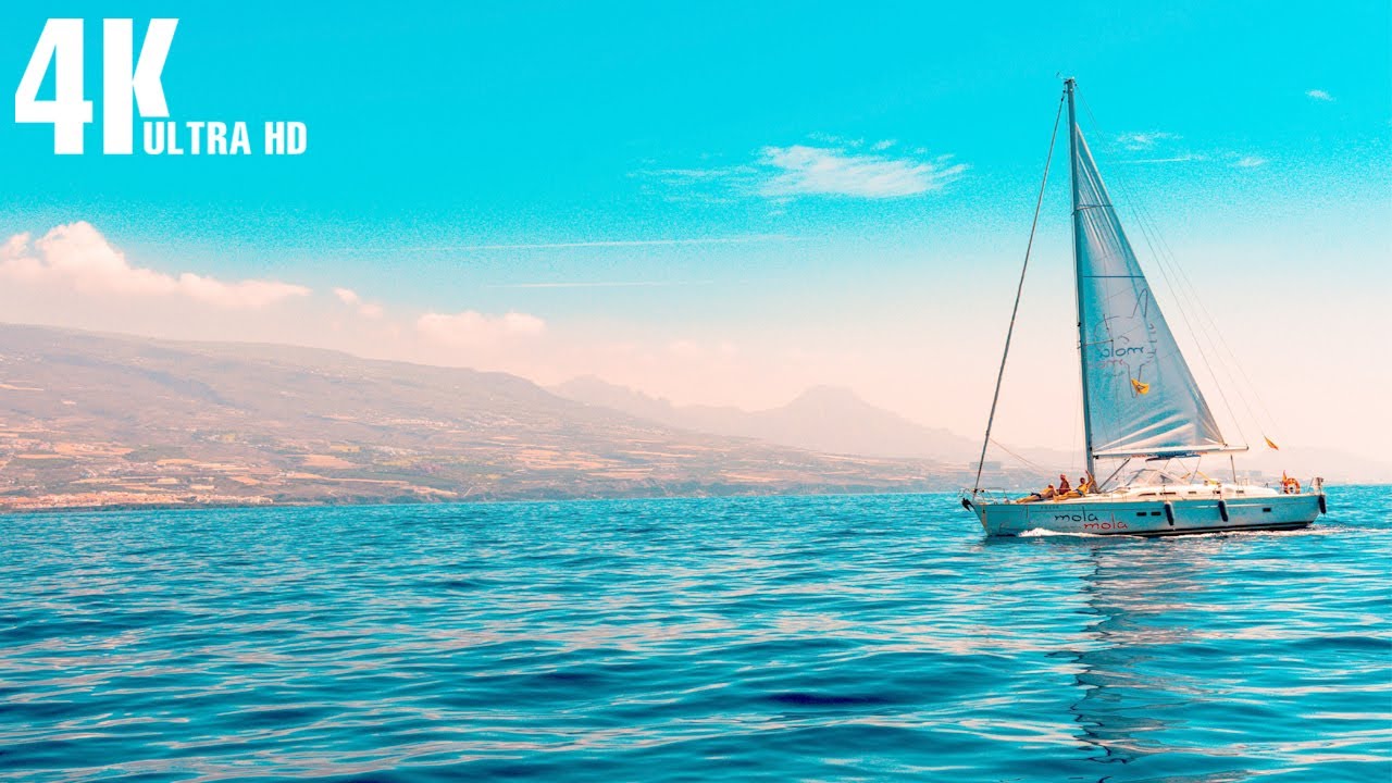🐳Discover the Secret of Ages Away: Film 4K Sea Music