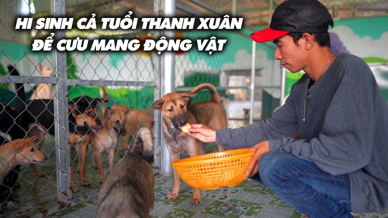 CHÀNG TRAI DÀNH CẢ TUỔI THANH XUÂN ĐỂ CƯU MANG CHÓ |A guy spend his whole youth take care of the dog