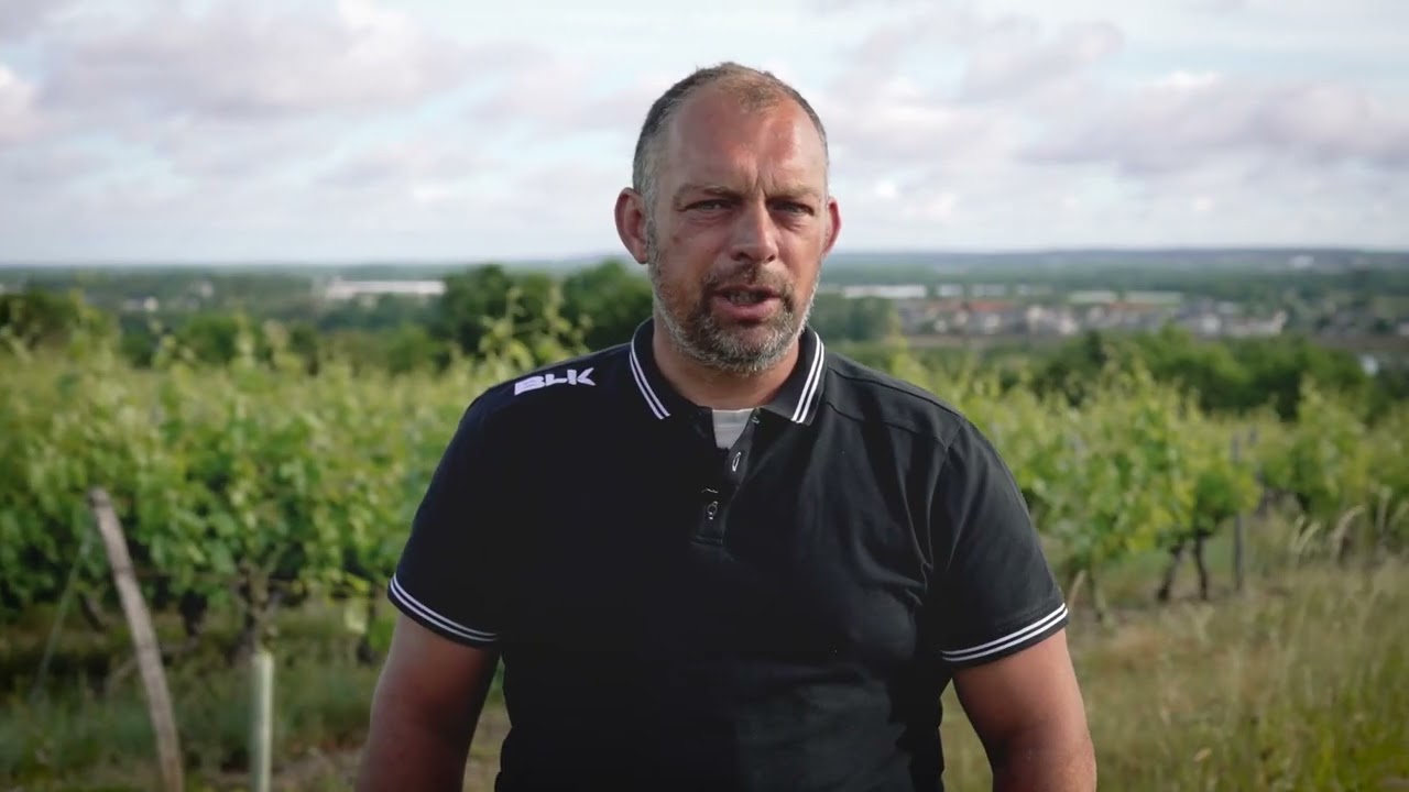 Domaine des Ruettes, Saumur Champigny, Jérôme Alnet.