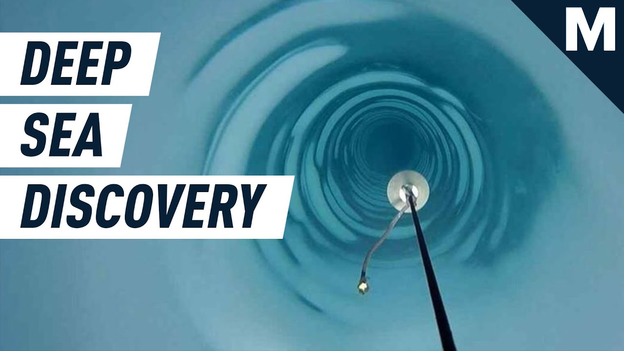 Watch Researchers Find Unexpected Life Under Antarctic Ice | Mashable
