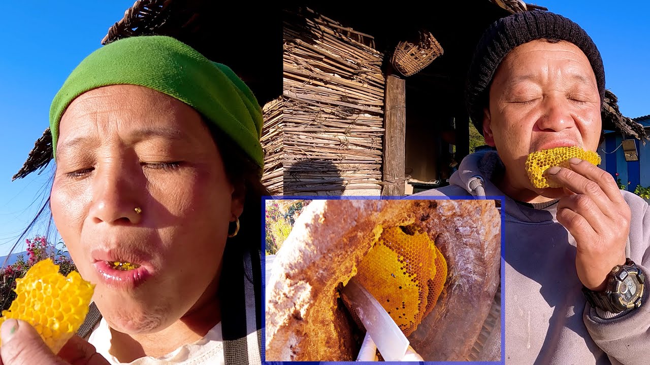 we hunt honey & enjoying local bee honey || village honey in the village In Nepal