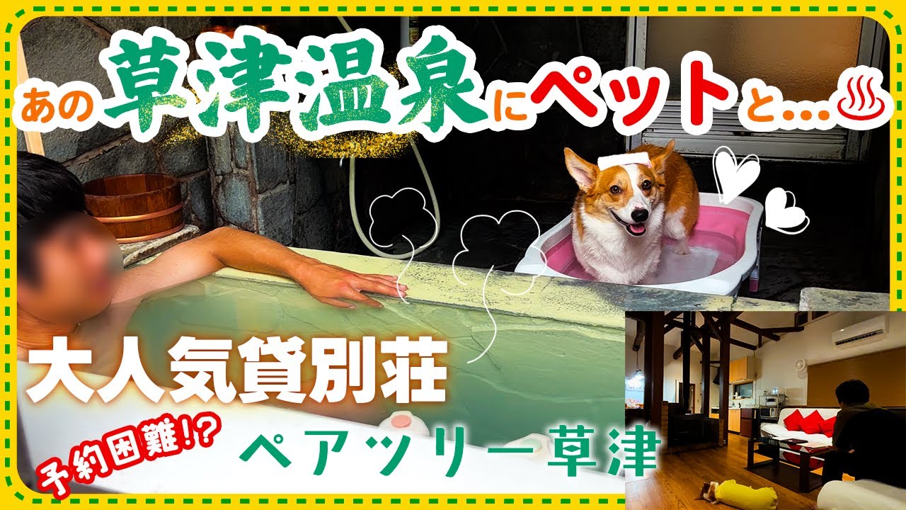 【犬と泊まれる群馬の宿】草津温泉にペットと一緒に入れる♨️ペアツリー草津というリピート確定の大人気貸別荘...!