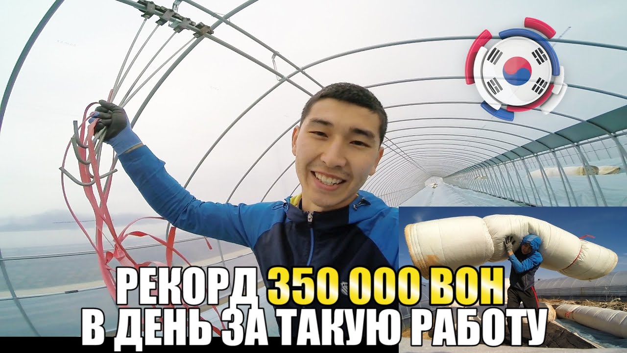 САМАЯ ВЫСОКООПЛАЧИВАЕМАЯ РАБОТА В КОРЕЕ 2020(ТЕПЛИЦЫ) 350 000 ВОН