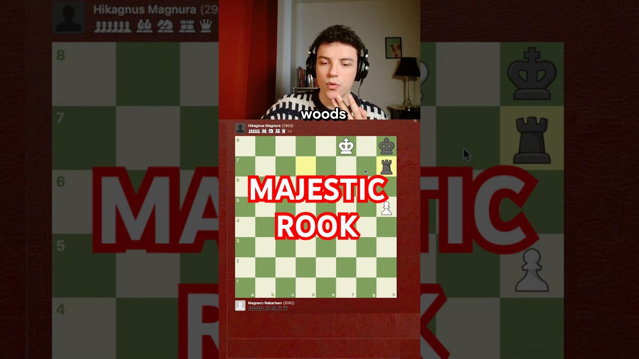 Majestic Rook 