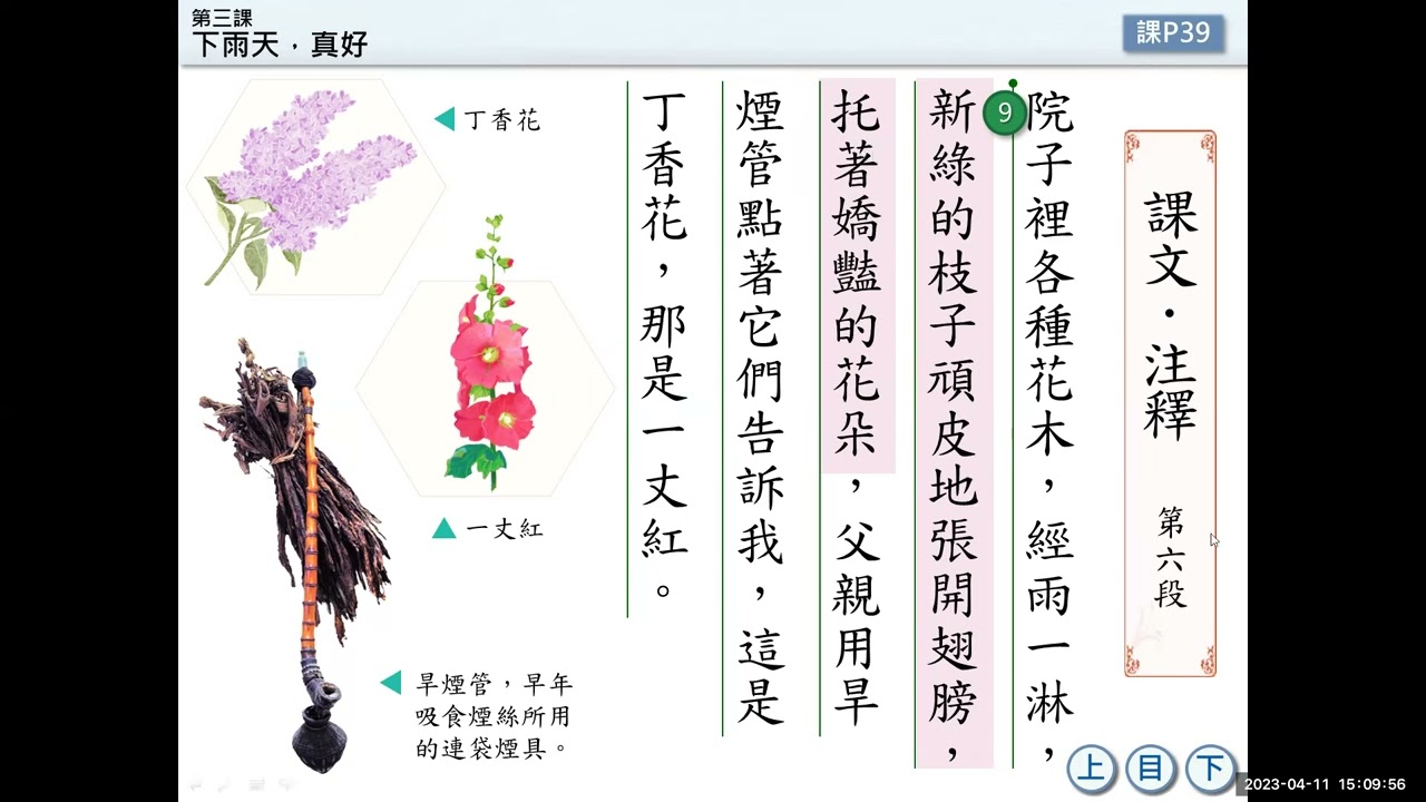 [速習單元]國二  下雨天真好