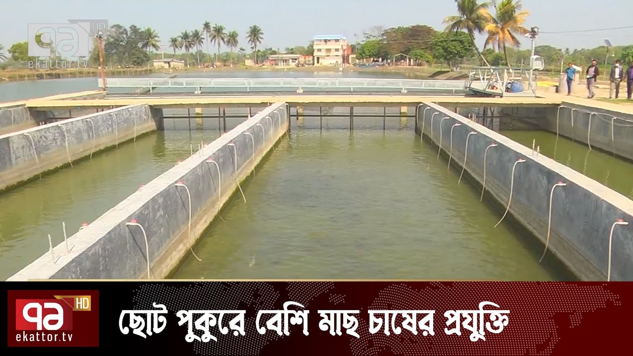 ৬০ একরের পুকুরে করা যাবে ৬০০ একরের মাছ চাষ | Agri Tech | Fish farming | News | Ekattor TV