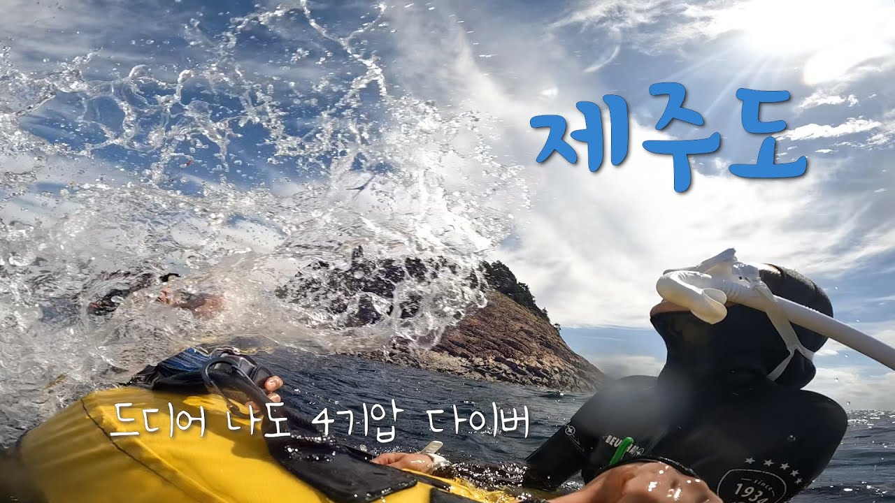 vlog🤿AIDA4 도전기 ep.4 / 드디어 4기압 다이버 / 제주도에서 AIDA4 / 배 타고 제주도가기 / 문섬 프리다이빙 / 제주도 펀다이빙 / 부부 프리다이버