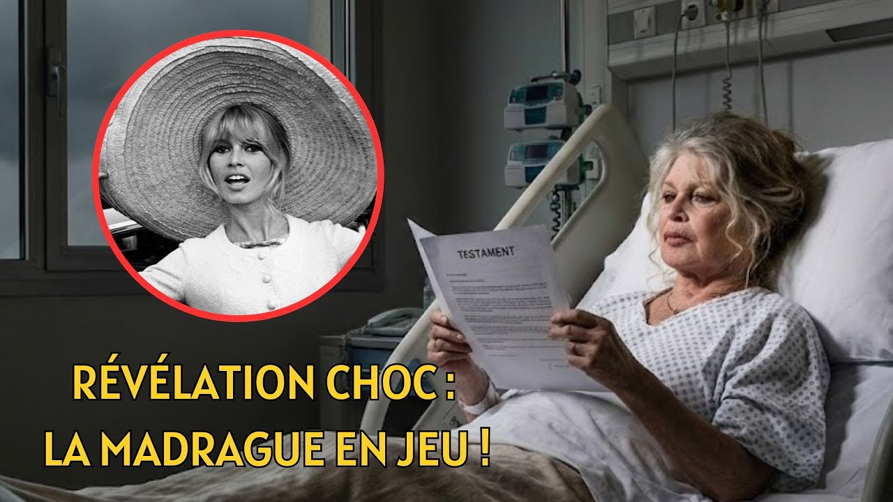 Le Testament CHOC de Brigitte Bardot : Ce Que Personne N’Attendait