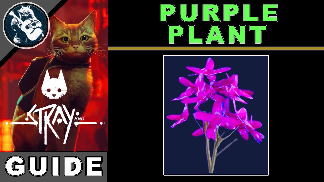 Collectibles: Purple Plant Location for Malo in Stray | All Flower Plants Locations Guide