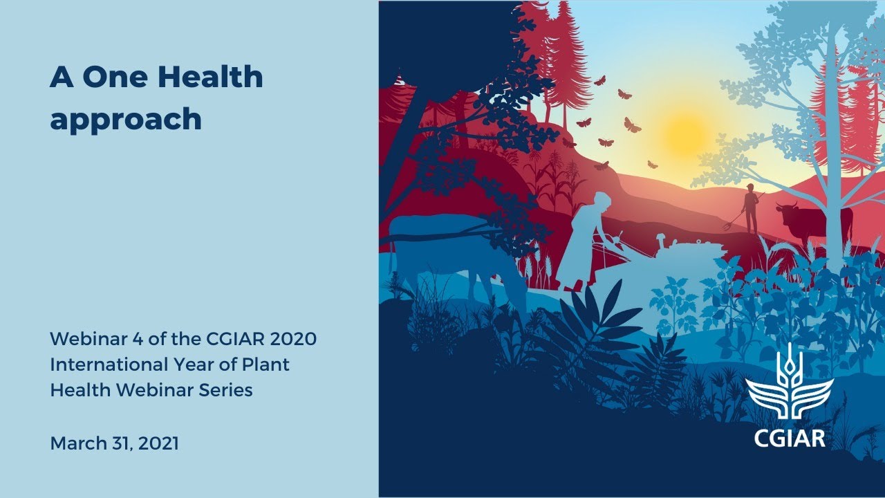 A One Health approach