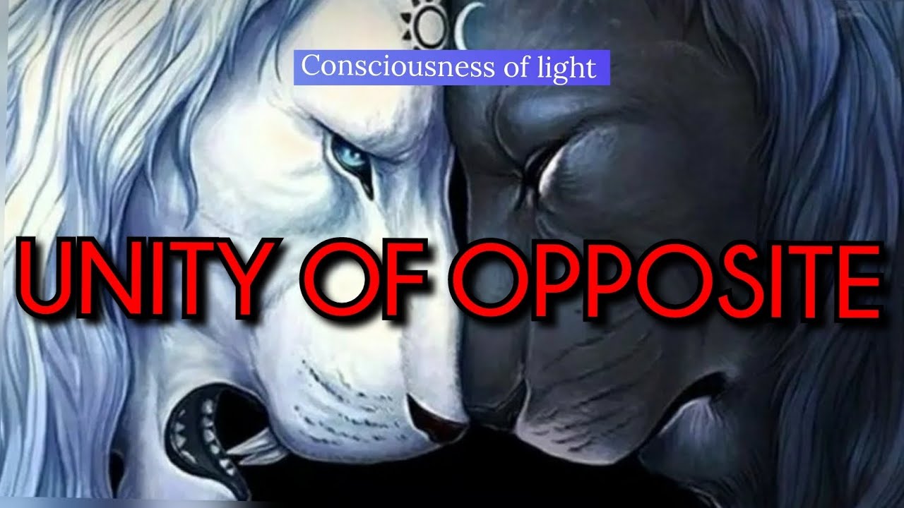 UNITY OF OPPOSITE. Philosophy of life