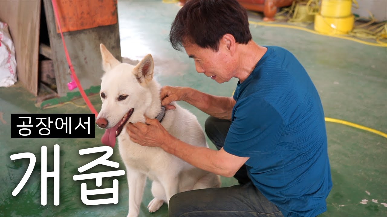 밴드공장 김대표님의 첫사랑 갱얼쥐 🐾