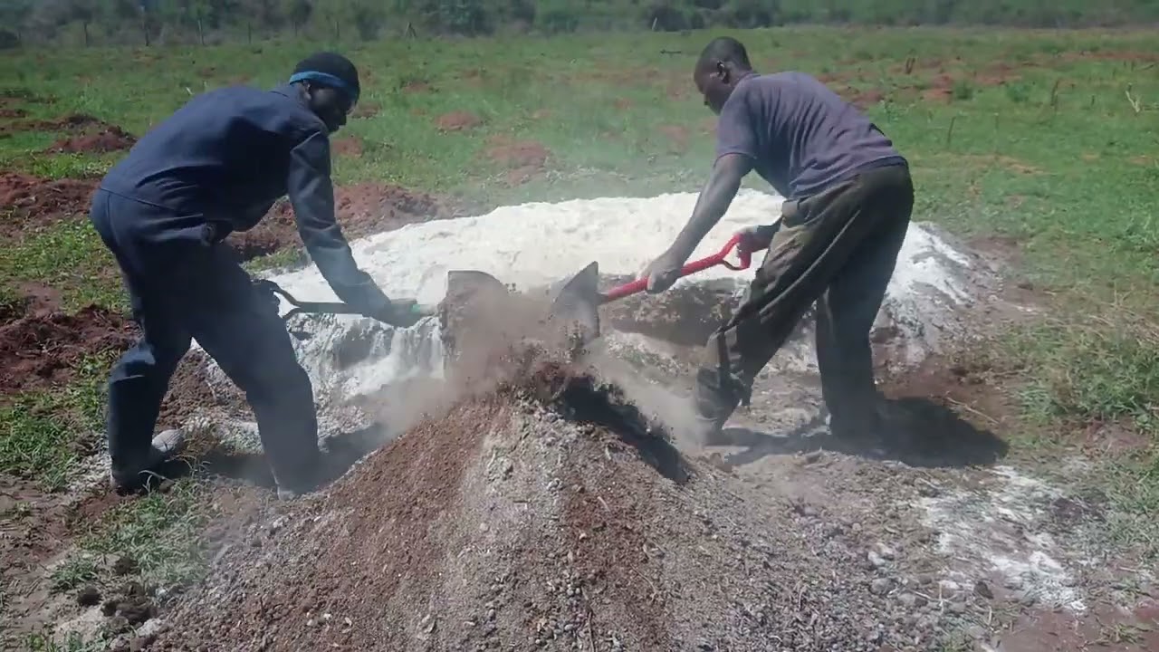 Professional Animal manure & lime mixing.