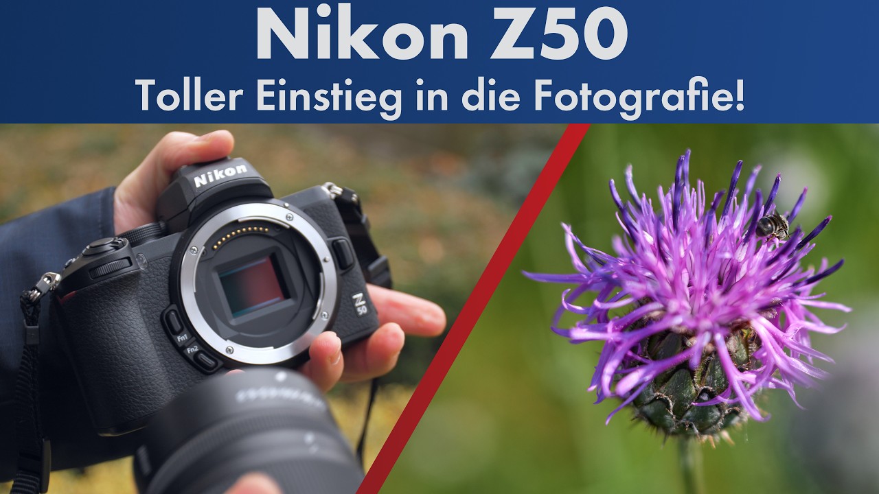 Nikon Z50 | Bildqualität, Autofokus, Serienbild, 4K-Video & App im Test [Deutsch]