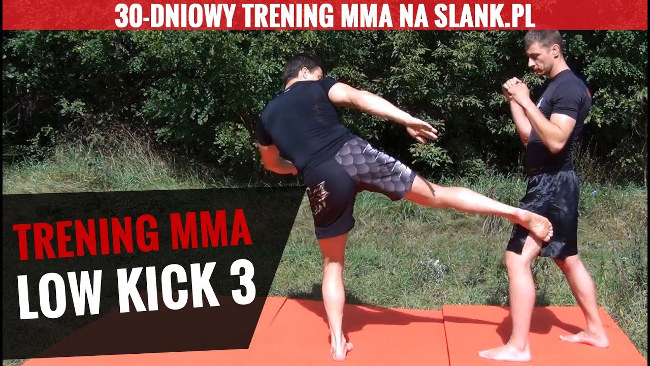 (3) Trening kopnięć MMA - low kick