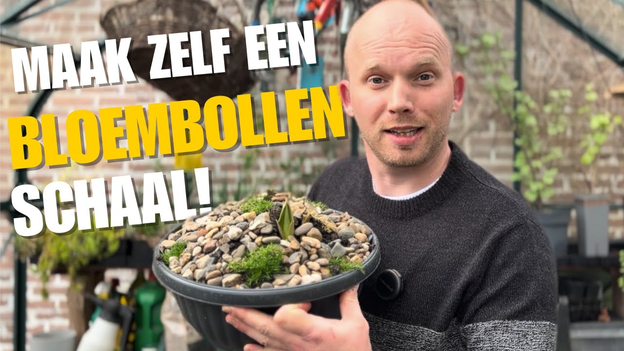 Bloembollen in Pot of Schaal Planten?🪴 Zo Doe je Dat voor het Mooiste Resultaat!🌺 | De Moesketier