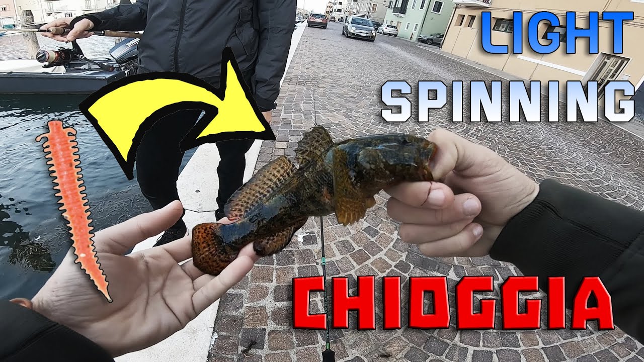 LIGHT SPINNING tra i CANALI di CHIOGGIA | Light rock fishing al GHIOZZO con Berkley GULP