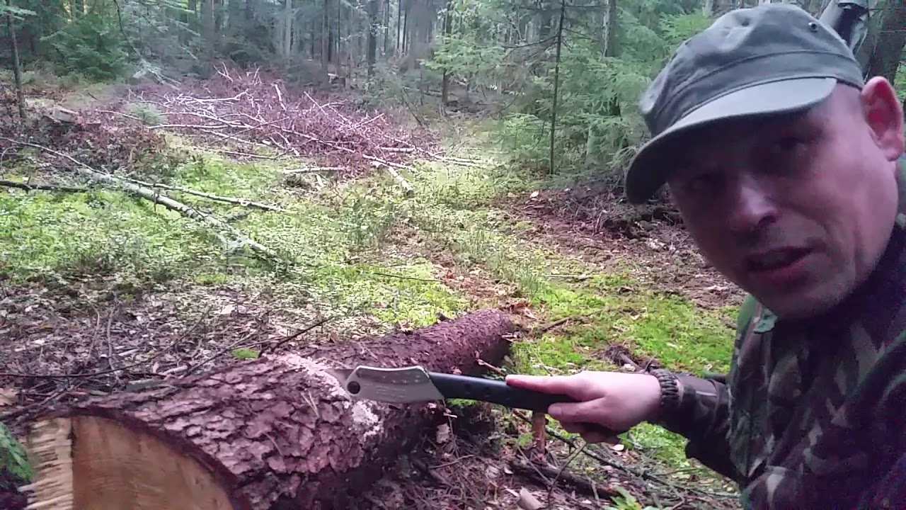 Testowanie Centuriona i Pani Profesor za pomocą piły SILKY BIGBOY 360-10