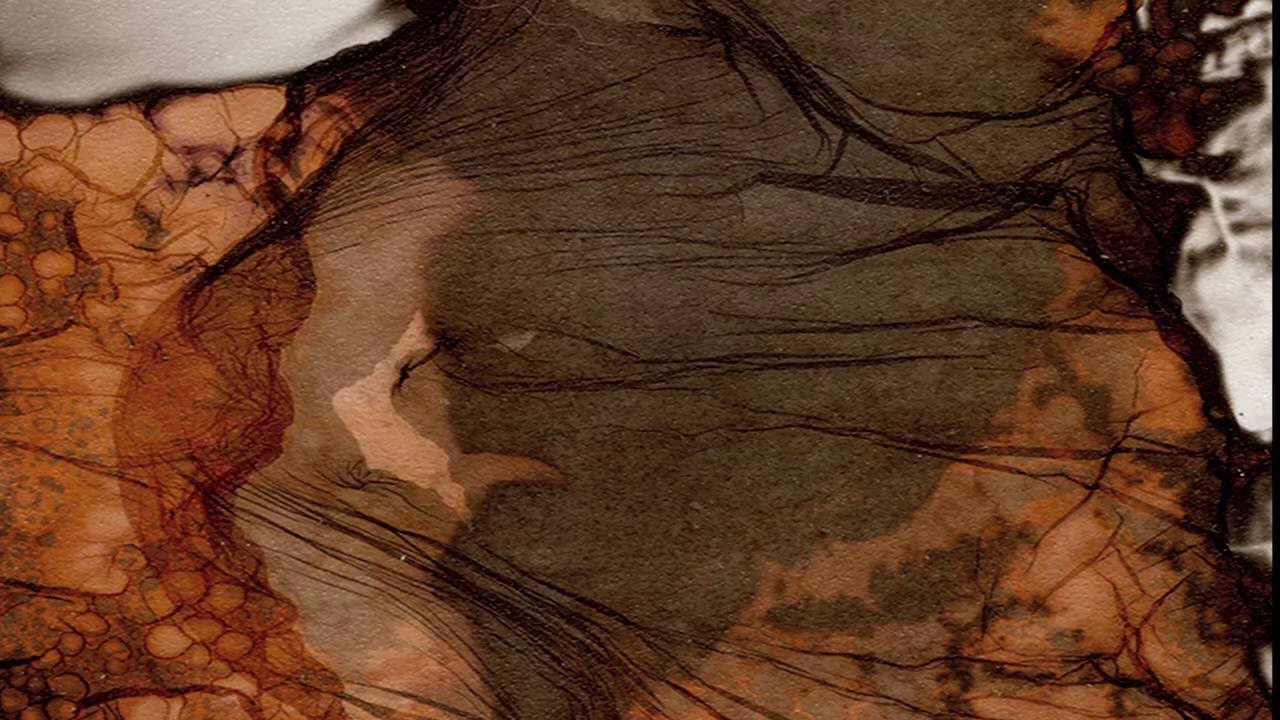Le mordancage en photographie : mode opératoire