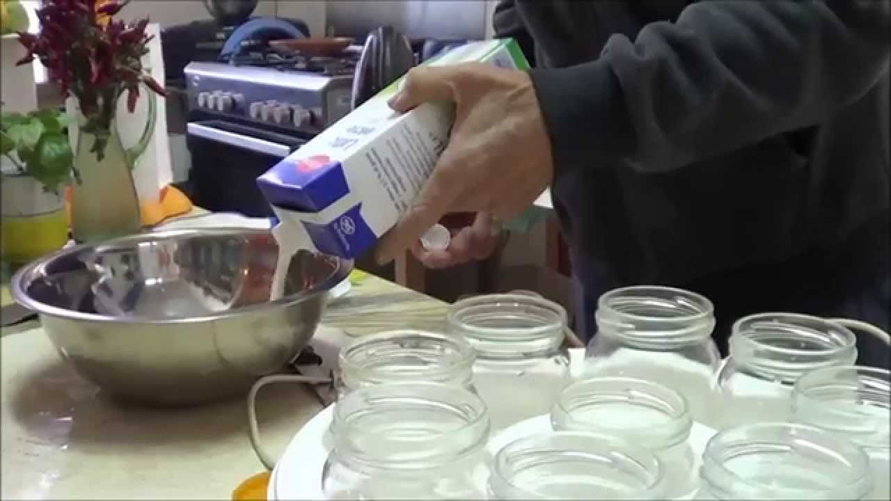 Yogurt fatto in casa
