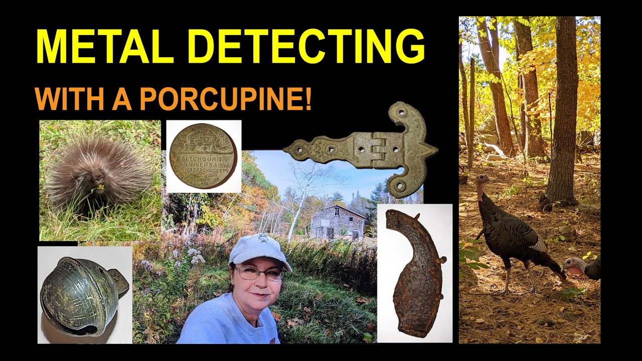 METAL DETECTING WITH A PORCUPINE! TOKEN, CROTAL BELL & MORE! WALKING THE TURKEYS! MASS RIVER PICKERS