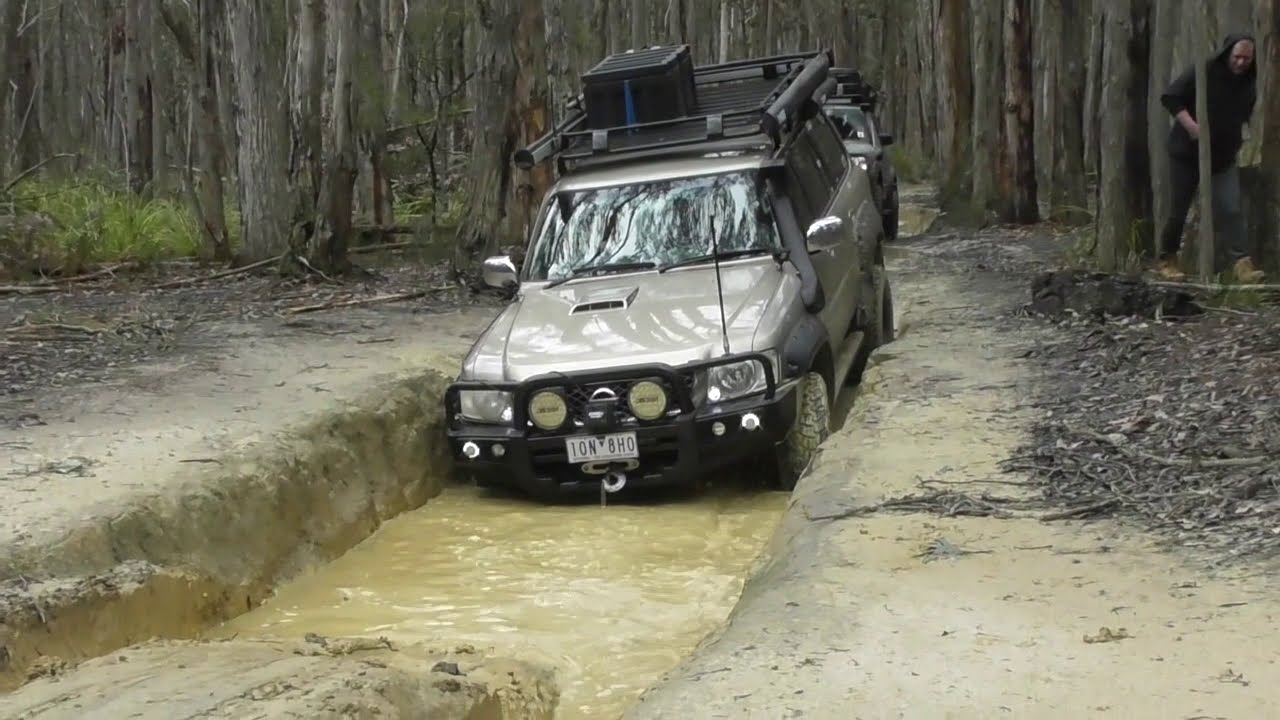 Wombat State Forest Aug 2019