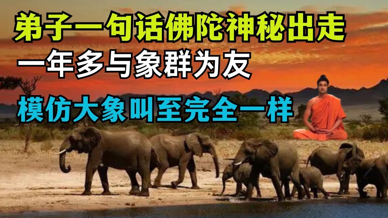佛弟子吵架还对佛不敬，佛陀独自离开僧团1年多，在家居士急了指责吵架僧人把佛气走了！ 【显密法缘】 【显密法缘】