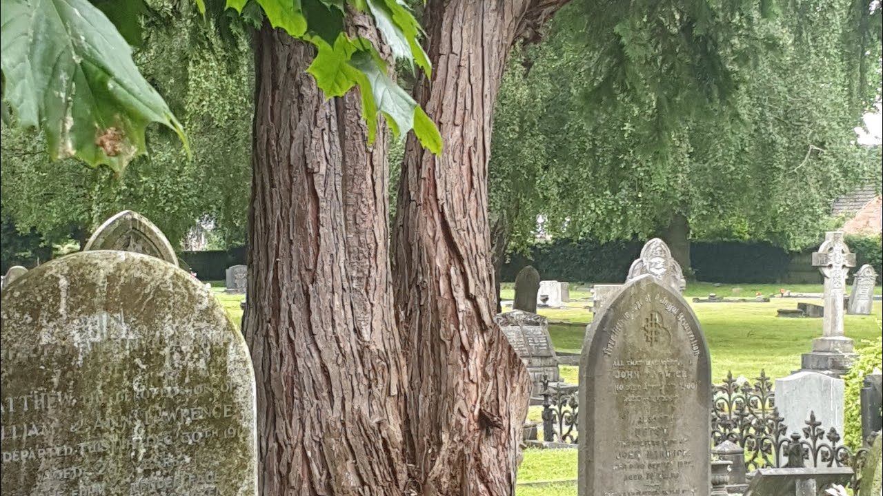 SLS Camera Paranormal Investigation at old graveyard & haunted monastery